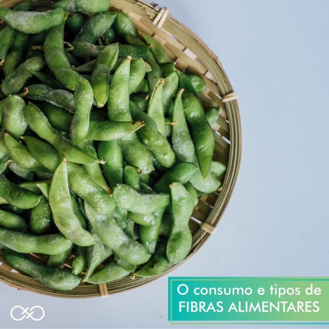 tipos-de-fibras-alimentares