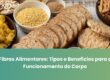 Fibras Alimentares: Tipos e Benefícios para o Funcionamento do Corpo